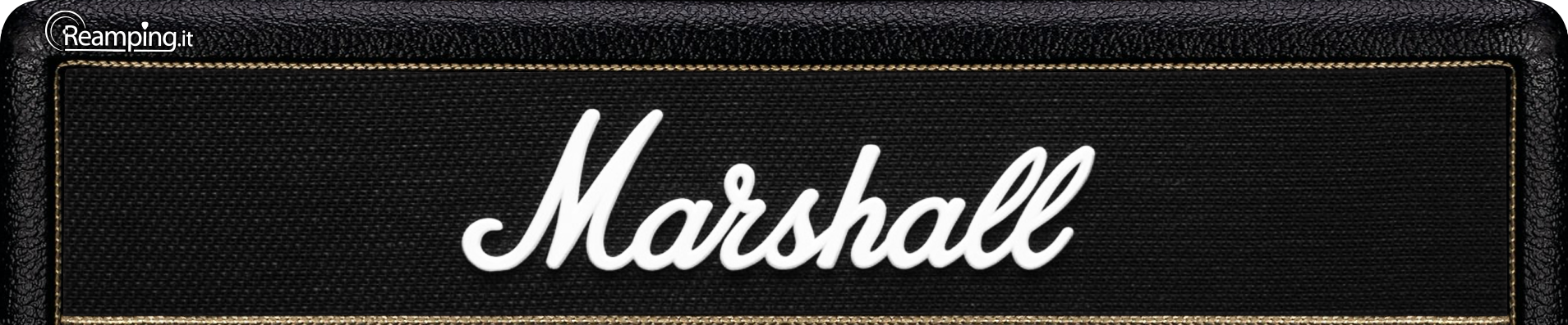 Marshall JCM800 Mod