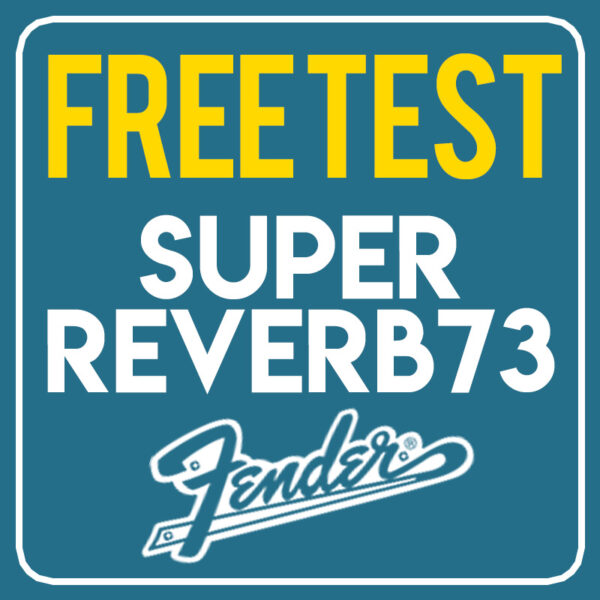 Fender Super reverb • FREE TEST!